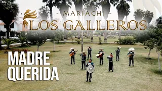 Madre Querida -  Mariachi Los Galleros