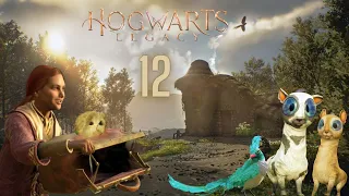 В тени поместья-12-Hogwarts Legacy