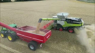 Claas Lexion 8800 Claas Lexion 770 beim Weizen dreschen 2023 im Oderbruch bevor der Regen kam...