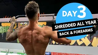 Complete BACK and FOREARMS Workout to look SHREDDED! Day-3 (Hindi / Punjabi)