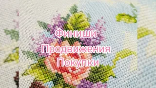 Финиши / Продвижения / Покупки / Старт