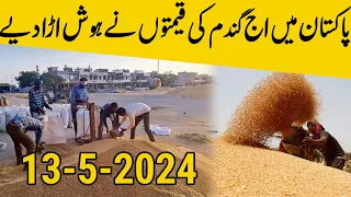 gandam rate today/wheat price today in punjab/2024 گندم کا ریٹ