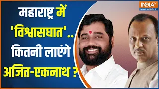 Opinion Poll 2024 : महाराष्ट्र में क्या पार्टी तोड़, दलबदल से मिलेगा बीजेपी को फायदा ? Lok Sabha