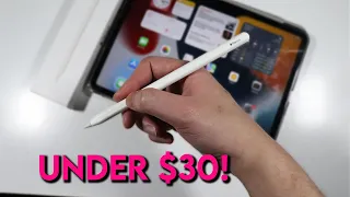 The Best Apple Pencil Alternative for iPad Pro with Palm Rejection & Logo! Under $30 | 2023 Edition