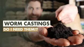 Worm Castings vs. Seed Starting Mix - Starting Seeds Indoors