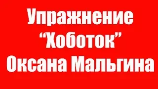 Артикуляционное упражнение Хоботок. Артикуляционная гимнастика для губ. Детский логопед.