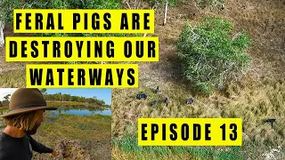 Crossing Cape York || Feral pigs and some stunning scenery