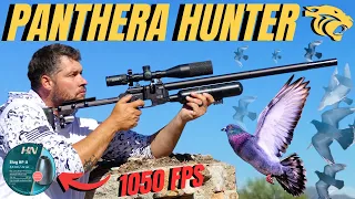 LONG RANGE PANTHERA AIRGUN HUNTING I AIRGUN FARMYARD PEST CONTROL