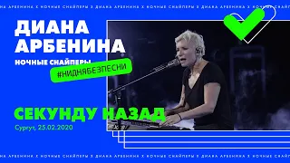 Диана Арбенина. Ночные Снайперы - Секунду назад. Сургут 25.02.2020