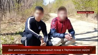 Два школьника устроили природный пожар в Партизанском округе