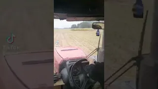 Девушка за рулём трактора, это нужно видеть😎