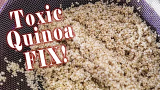 REMOVE The TOXIN From Quinoa Easily