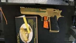 Titanium Gold Desert Eagle unboxing