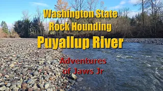 Washington State Rockhounding - Puyallup River