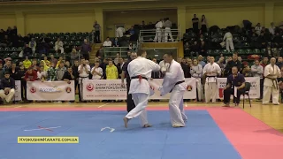 WKO Ukraine Cup 2017 - Final 75 Ilyenko Andrey (Lviv, aka) - Chaykovskiy Maksim (Zhitomir)