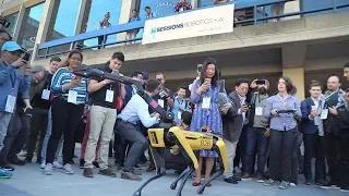 Highlights from TC Sessions: Robotics + AI 2019