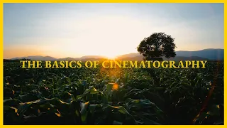 The Basics of Cinematography - Filmmaking for Beginners