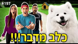 כלב מדבר!! (הכלב הראשון בארץ שמדבר!!!)