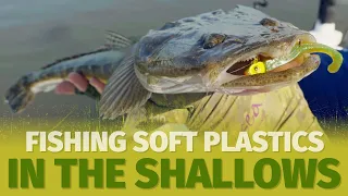 How to Catch Flathead and Bream on Soft Plastics - Shallow Water Finesse Fishing