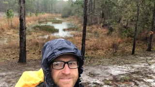 Gator hole campground shake down