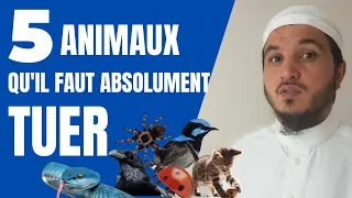 5 ANIMAUX QU'IL FAUT TUER MÊME SI TU ES À LA MECQUE