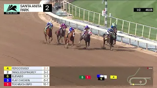 Elevado wins Race 2 on Friday, February 23 at Santa Anita Park