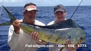 Dolphin, mahi mahi, sport fishing Islamorada Fishing Charters Florida Keys 001 720