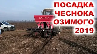 КАК ПОСЕЯТЬ ЧЕСНОК ЖОПКОЙ ВНИЗ -УСКОРЕННЫЙ ПОСЕВ ЧЕСНОКА