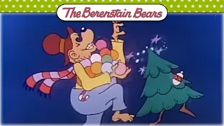 The Berenstain Bears Christmas Tree 🎄✨ Berenstain Bears Official