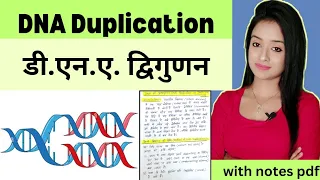 cell biology (L-15),DNA duplication bsc 1st year zoology in Hindi, knowledge adda lion batch zoology