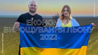 Збір врожаю олійного льону. Агрономічні переваги культури та економіка вирощування 2022