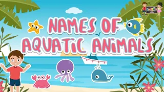 Aquatic Animals | Learn About Water Animals | KooBoo Kids | KooBoo Productions