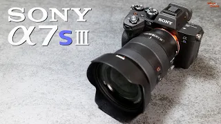 SONY α7sⅢは凄かった。Panasonic S1Hを絡めながら紹介レビュー