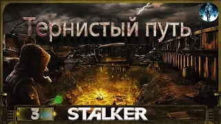 S.T.A.L.K.E.R. Тернистый путь - 3: Ночные силуэты, Пропавший Карась, Диверсия Монолита