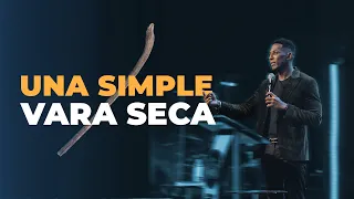 UNA SIMPLE VARA SECA | Pastor Moises Bell