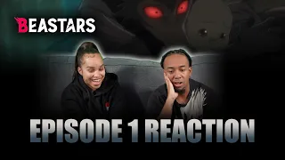 The Moon and the Beast | Beastars Ep 1 Reaction