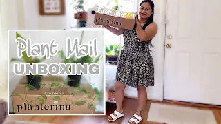 NEW🌱 PLANTERINA PLANT HAUL & FIRST IMPRESSIONS | FIRST TIME PLANTERINA UNBOXING | PLANT MAIL