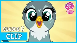 Gabby the Griffon (The Fault In Our Cutie Marks) | MLP: FiM [HD]