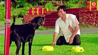 कादर खान ने कुत्ते से कहा, "मैं तेरा दूध पी लूँ?" -जबरदस्त कॉमेडी | Asrani Comedy Movie | Badi Bahen