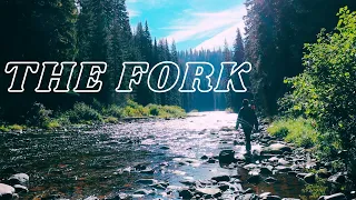 The "World Famous" Fork & the invasion of the Micro Salmon [Fly Fishing Idaho]