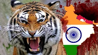 This HORROR TIGER RAVAGED Nepal & India!