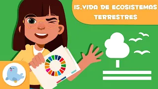 Vida de los ecosistemas terrestres 🌳 ODS 15 🐻 Objetivos de desarrollo sostenible para niños