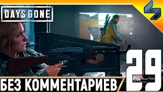 DAYS GONE (Жизнь После) #29 ➤ Прохождение Без Комментариев На Русском ➤ PS4 Pro 1440p 60FPS