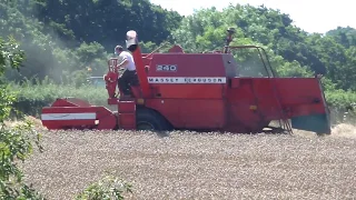 Classic Massey 240 Combine Combining