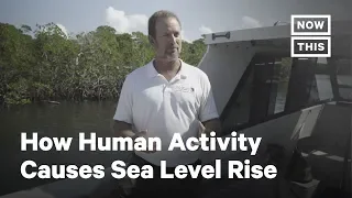 How Human Activity Is Casuing Sea Levels to Rise | NowThis