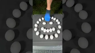 Guess how many eggs 🥚 you need to stand! 😳