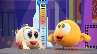 Where's Chicky? | Chicky at the funfair | Cartoon in English for Kids | New episodes
