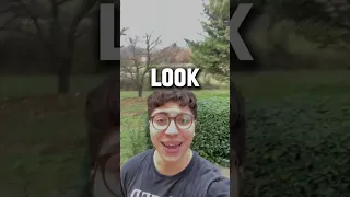 memes i found on tiktok pt.34