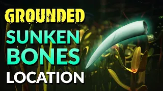 Grounded Sunken Bones Location 2022