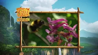 The Jungle Book Safari - Episode 3 - Insects